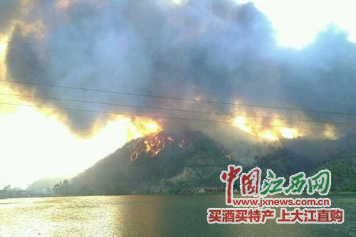 10月11日13时许，南康区龙华乡罗边组发生山火(图片为网络截图)