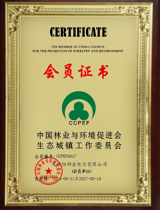天津佰利金电力有限公司